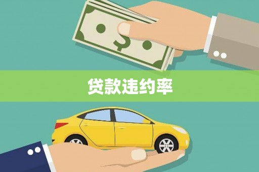 盐山贷款违约率