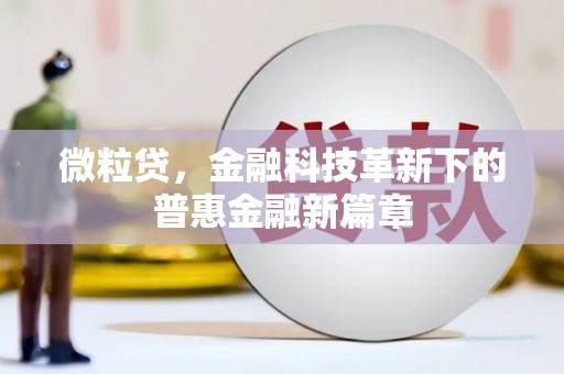 盐山微粒贷，金融科技革新下的普惠金融新篇章