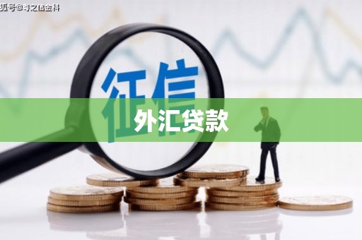 盐山外汇贷款