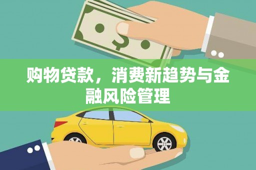 盐山购物贷款，消费新趋势与金融风险管理