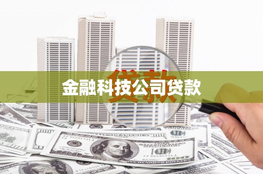 盐山金融科技公司贷款