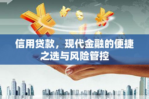 盐山信用贷款，现代金融的便捷之选与风险管控