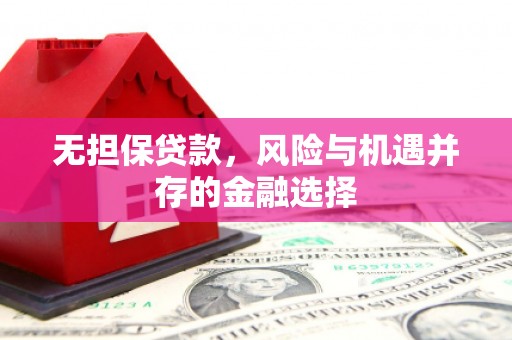 盐山无担保贷款，风险与机遇并存的金融选择