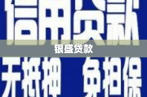 盐山银盛贷款