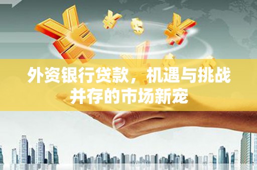 盐山外资银行贷款，机遇与挑战并存的市场新宠