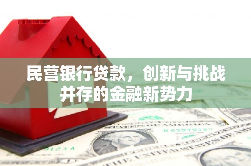盐山民营银行贷款，创新与挑战并存的金融新势力