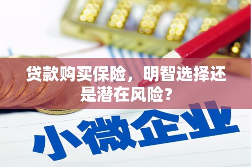 盐山贷款购买保险，明智选择还是潜在风险？