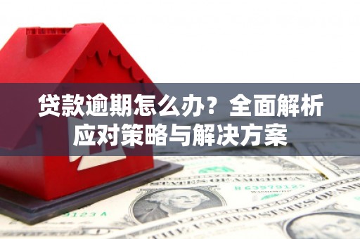 盐山贷款逾期怎么办？全面解析应对策略与解决方案