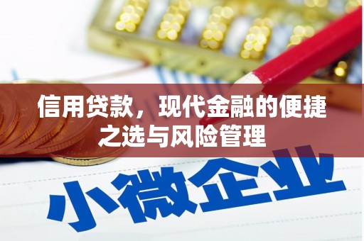 盐山信用贷款，现代金融的便捷之选与风险管理