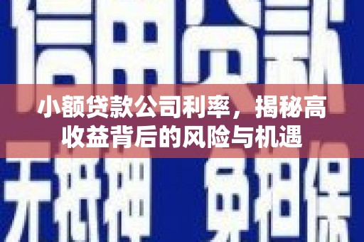 盐山小额贷款公司利率，揭秘高收益背后的风险与机遇