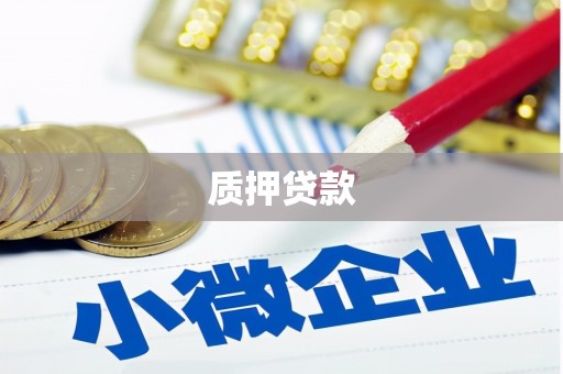 盐山质押贷款