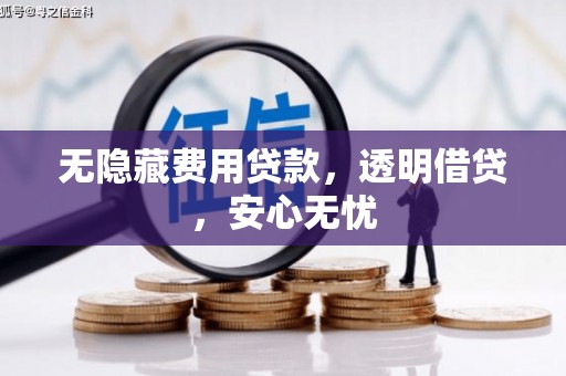 盐山无隐藏费用贷款，透明借贷，安心无忧
