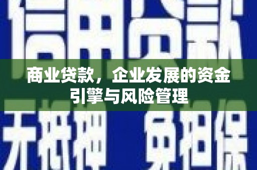 盐山商业贷款，企业发展的资金引擎与风险管理