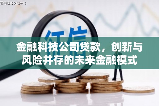 盐山金融科技公司贷款，创新与风险并存的未来金融模式