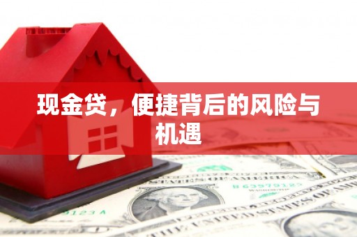 盐山现金贷，便捷背后的风险与机遇