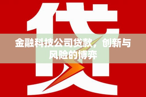 盐山金融科技公司贷款，创新与风险的博弈