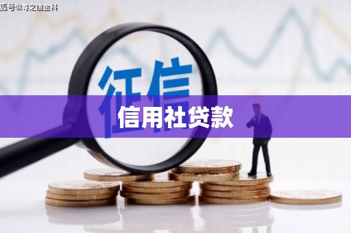 盐山信用社贷款