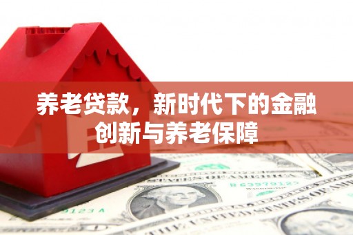 盐山养老贷款，新时代下的金融创新与养老保障