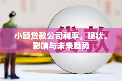 盐山小额贷款公司利率，现状、影响与未来趋势