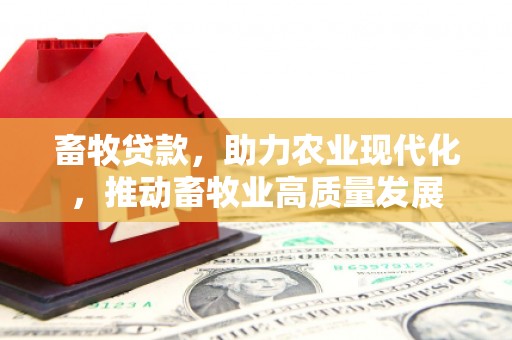 盐山畜牧贷款，助力农业现代化，推动畜牧业高质量发展