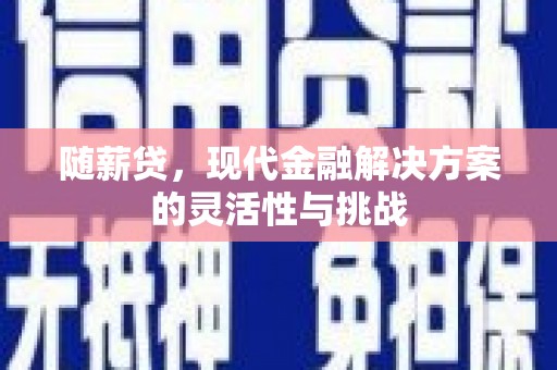 盐山随薪贷，现代金融解决方案的灵活性与挑战