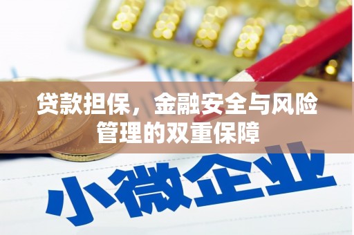 盐山贷款担保，金融安全与风险管理的双重保障