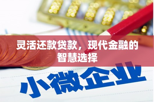 盐山灵活还款贷款，现代金融的智慧选择
