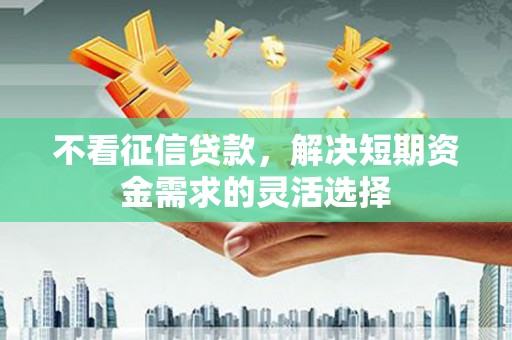 盐山不看征信贷款，解决短期资金需求的灵活选择