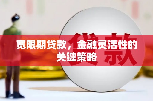 盐山宽限期贷款，金融灵活性的关键策略