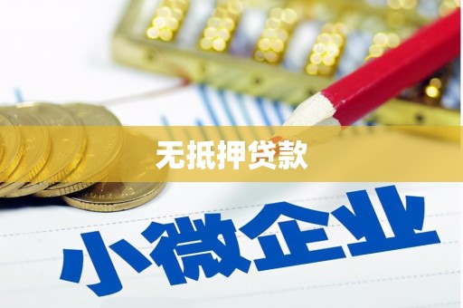 盐山无抵押贷款