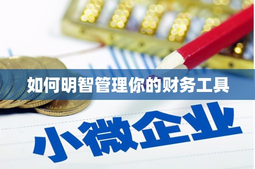 盐山如何明智管理你的财务工具