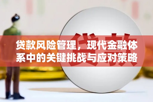 盐山贷款风险管理，现代金融体系中的关键挑战与应对策略