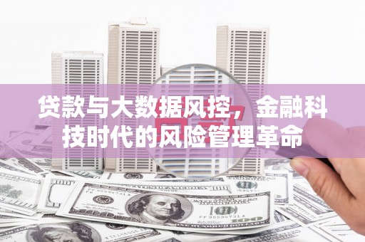 盐山贷款与大数据风控，金融科技时代的风险管理革命