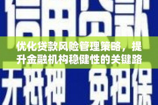 盐山优化贷款风险管理策略，提升金融机构稳健性的关键路径