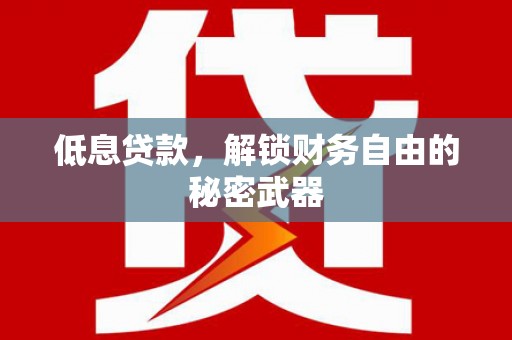 盐山低息贷款，解锁财务自由的秘密武器