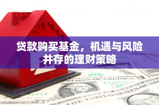 盐山贷款购买基金，机遇与风险并存的理财策略