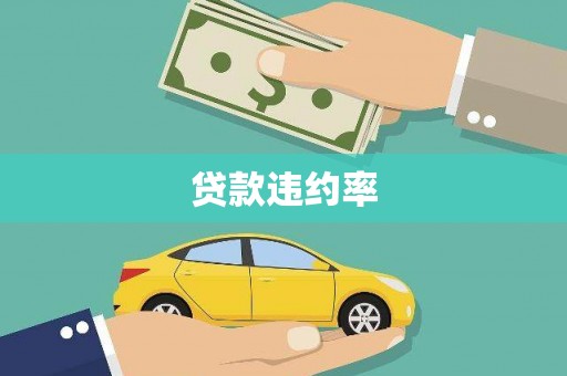 盐山贷款违约率