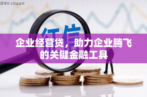 盐山企业经营贷，助力企业腾飞的关键金融工具