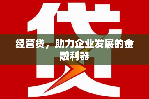 盐山经营贷，助力企业发展的金融利器