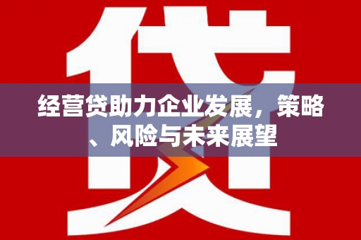 盐山经营贷助力企业发展，策略、风险与未来展望