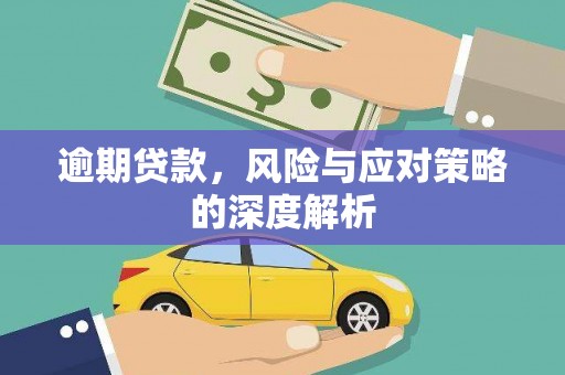 盐山逾期贷款，风险与应对策略的深度解析