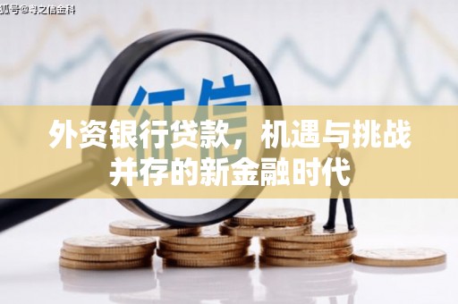 盐山外资银行贷款，机遇与挑战并存的新金融时代