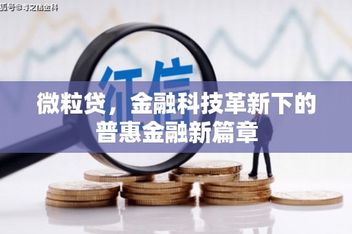 盐山微粒贷，金融科技革新下的普惠金融新篇章