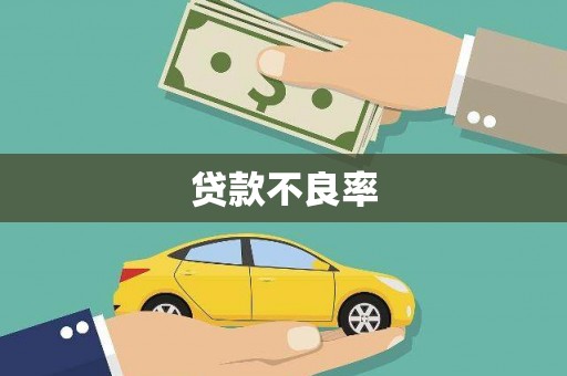 盐山贷款不良率