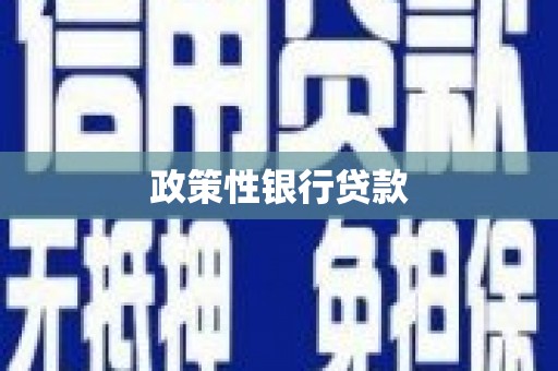 盐山政策性银行贷款