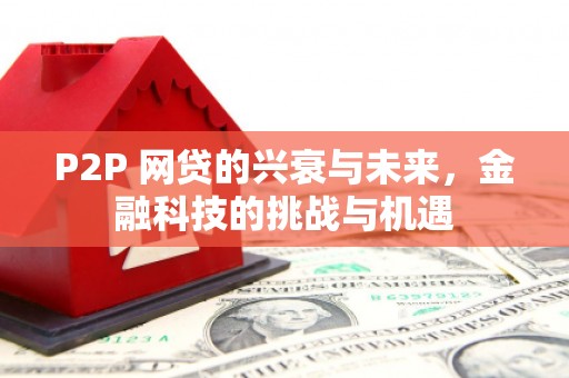 盐山P2P 网贷的兴衰与未来，金融科技的挑战与机遇