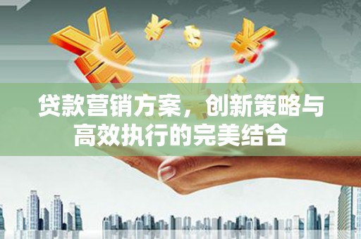 盐山贷款营销方案，创新策略与高效执行的完美结合