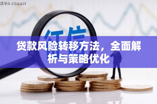 盐山贷款风险转移方法，全面解析与策略优化