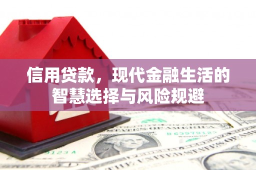 盐山信用贷款，现代金融生活的智慧选择与风险规避