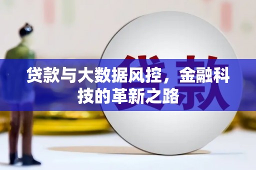 盐山贷款与大数据风控，金融科技的革新之路